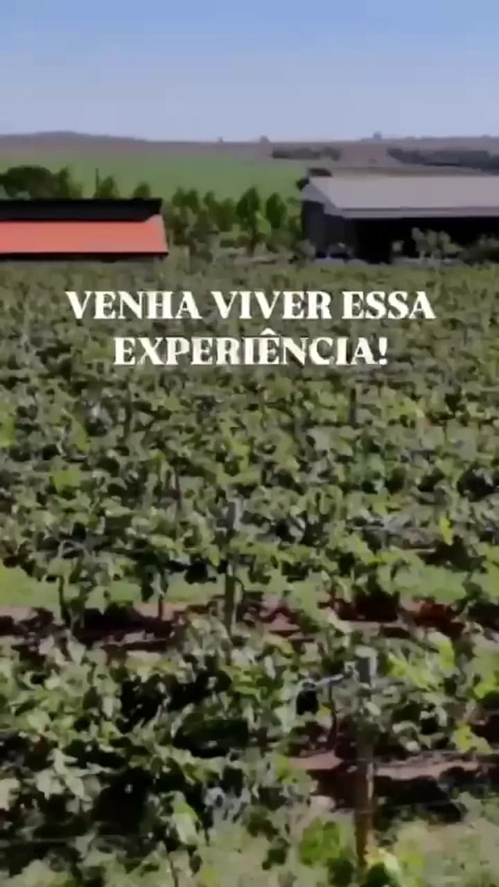 Quero anunciar que estamos com visitação aberta degustaçã...