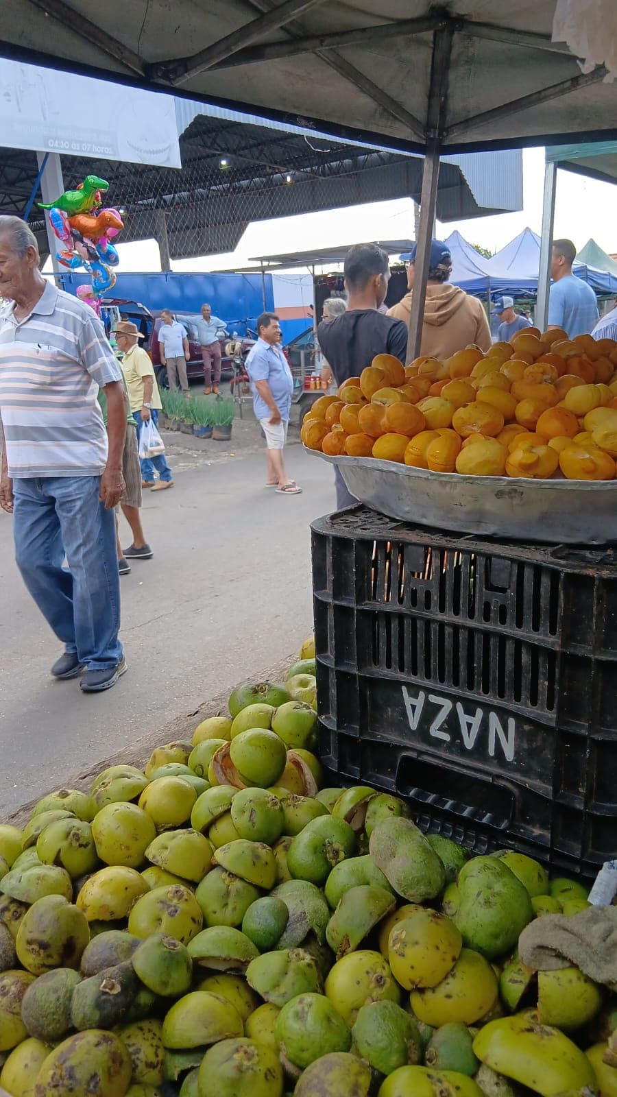 Pequi Fresquinho na Feira Hoje — foto 1